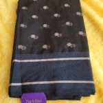 Simple Semi Organza Saree