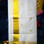 Embroidered Polka Kasav Saree