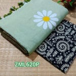 Pastel Green Khadi Saree with Printed Blouse